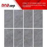  40*80 VY1-M48008 Gạch ốp lát đá mờ Việt Ý (T/5v/1.6m) 