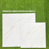  60*60 RPG6060129S3 Gạch lát nền (1.44m/4v/th) 