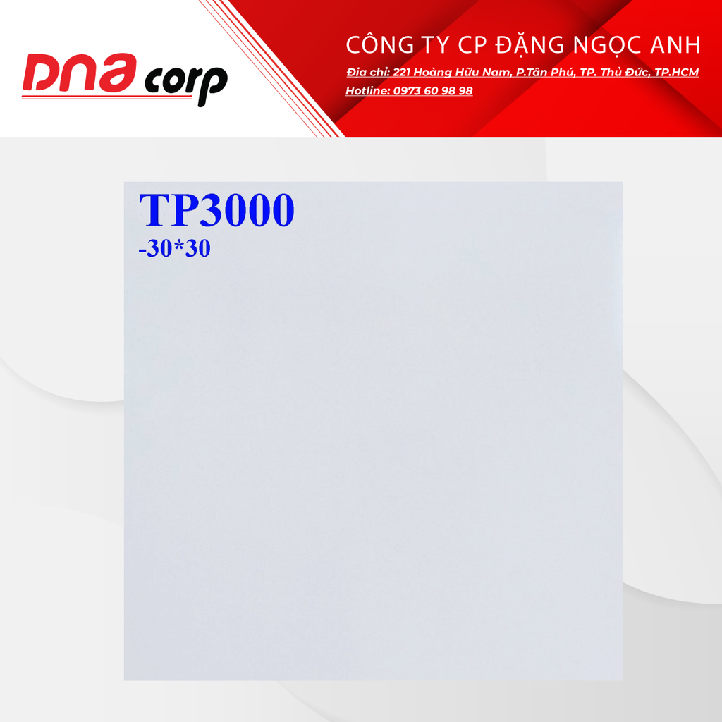  Gạch lát nền 30*30 TP3000 