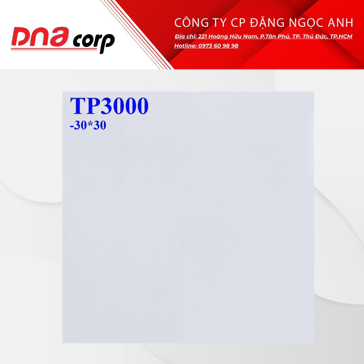  Gạch lát nền 30*30 TP3000 
