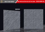  50*50 SBBV5505 Gạch lát nền sân vườn VNM 