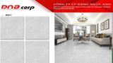  60*60 M60617 Gạch lát nền men bóng (T=4V=1.44M) 