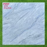  80*80 P8509 Gạch lát nền bóng kiếng Pancera 