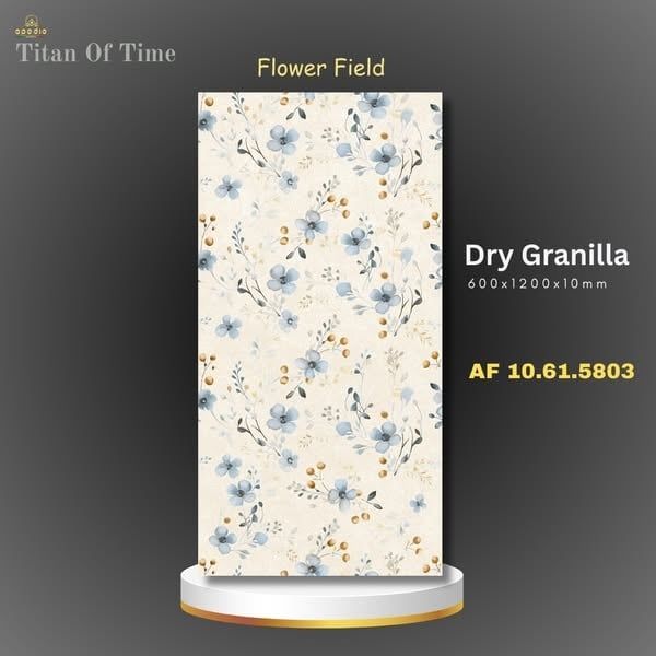  AF10.61.5803 Kích thước: 60x120cm  Bề mặt: Dry Granilla – Rải hạt bóng cao cấp  Độ dày: 10mm 