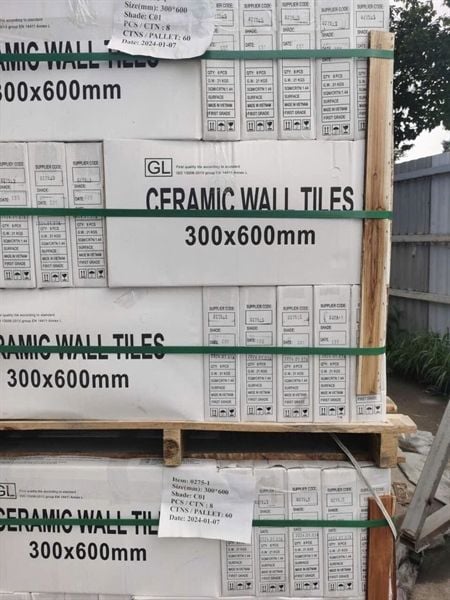  ốp tường thân trắng trơn bóng 300*600*9.0 th8v/1.44m xương trắng sale 6300 