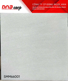  60x60 SMM66001 gạch lát nền vân cát, bề mặt Men matt mịn (T4v=1.44m) 