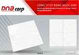  60*60 QH6010 Gạch lát nền Pancera (T=5V=1.8M) 
