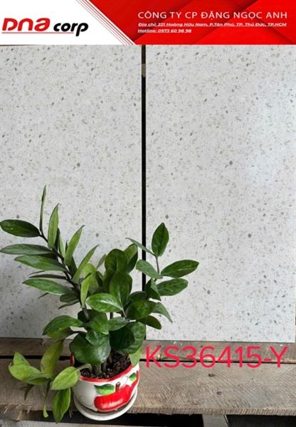  30*60 KS36415-Y Gạch lát nền đá mờ ( T=8V=1.44M ) 