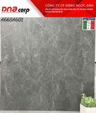  60x60 SA601 gạch lát nền ốp tường Apodio (T4v/1.44m²) 