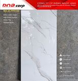  60*120 PPH100 Gạch ốp lát cao cấp bóng vi tinh Apodio 