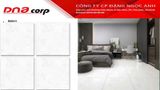  60*60 M60614 Gạch lát nền men bóng (T=4V=1.44M) 