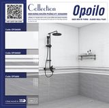  30*60 OP3606 Gạch ốp tường men bóng màu Đậm 
