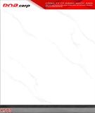  50*50 K503 Gạch lát nền men bóng PAK (T=4V=1M) 