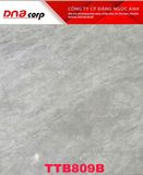  80*80 TTB809B Gạch lát nền đá bk (1.92m/3v/th) 