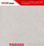  60*60 P66009 Gách lát nền đá mờ (1.44m/4v/th) 