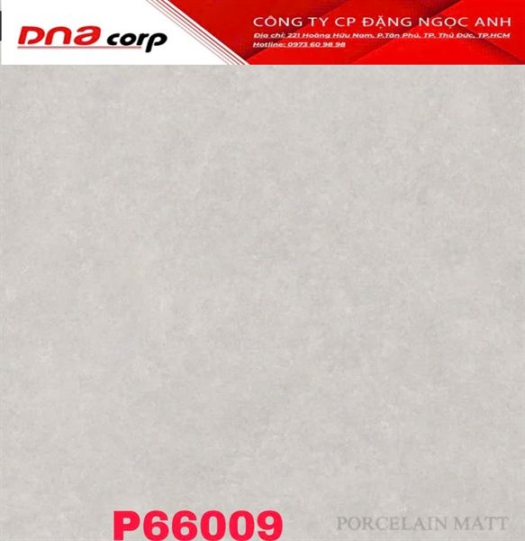  60*60 P66009 Gách lát nền đá mờ (1.44m/4v/th) 
