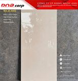  60*120 618002 Gạch ốp lát cao cấp bóng vi tinh Apodio 