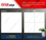  Gạch lát nền đá bán sứ CDP6605 Mikado 60*60 (T4v/1.44) 