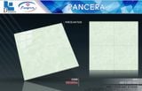  80*80 TDP69004 Gạch lát nền bóng kiếng Pancera 