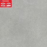  80*80 PGM80-0290 Gạch lát nền đá mờ Thạch Bàn 