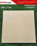  60*60 MF6.7146 gạch đá mờ Trung Đô (1.44m/4v/th) 