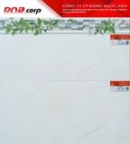  30*60 22061 Gạch ốp tường men bóng Viền Prime 