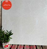  60*60 Cẩm Thạch Gạch lát nền đá mờ ( T=4V=1.44M ) 