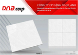  60*60 QH6011 Gạch lát nền Pancera (T=5V=1.8M) 