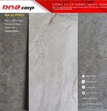  60*120 PP633 Gạch ốp lát cao cấp bóng vi tinh Apodio 