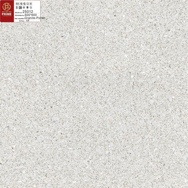  60*60 25012 Gạch lát nền đá mờ prime (1.44m/4v/th) 