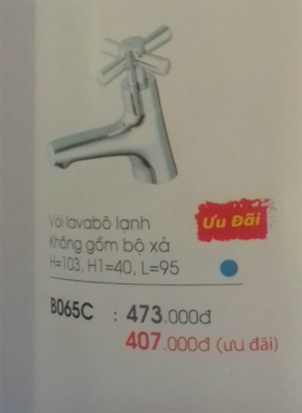  vòi lavabo lạnh ( không bao gồm bộ xả) B065C( ĐÃ GIẢM) 