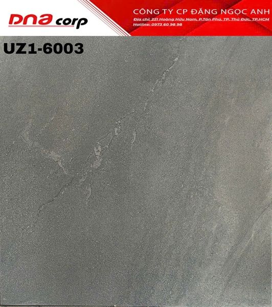  60*60 UZ1 6003 Gạch lát nền bs mờ (T=4V=1.44M) 