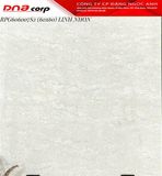  60*60 RPG606007S2 Gạch lát nền LN (1.44m/4v/th) 