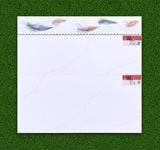  30*60 22064 Gạch ốp tường men bóng Thân Prime 