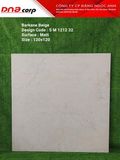  120×120 SG121204 Gạch cao cấp ấn độ 