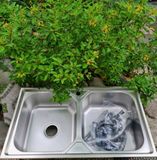  Chậu chén 2 hộc TP-9050 inox 201 