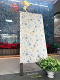 AF10.61.5803 Kích thước: 60x120cm 🔹 Bề mặt: Dry Granilla – Rải hạt bóng cao cấp 🔹 Độ dày: 10mm 