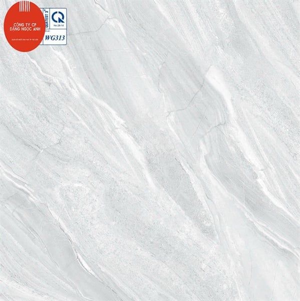  30*30 WG313 Gạch lát nền Vicera l1 