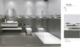  30*60 VY-M36015 Gạch ốp tường màu nhạt men mờ 