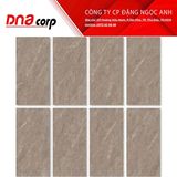  40*80 VY1-M48004 Gạch ốp lát đá mờ Việt Ý (T/5v/1.6m) 