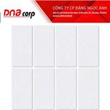  40*80 VY1-M48001 Gạch ốp lát đá mờ Việt Ý (T/5v/1.6m) 