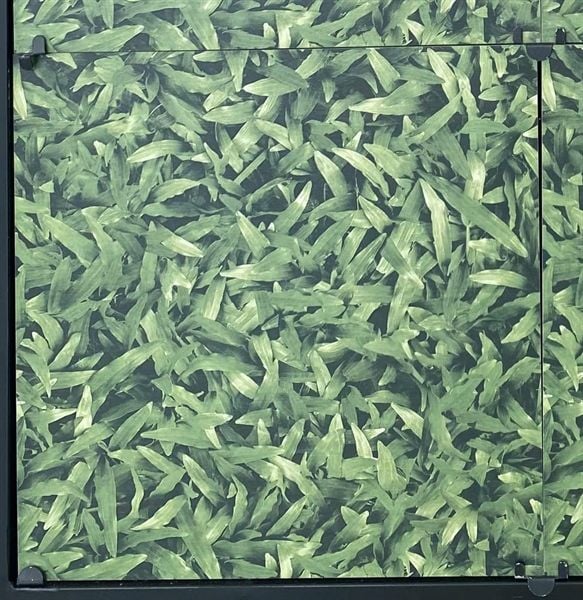  gạch men đồng tâm 40*40 CLG001 th/6v cỏ lá gừng 