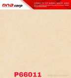 60*60 P66011 Gách lát nền đá mờ (1.44m/4v/th) 