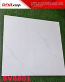  80*80 SV8801 Gạch lát nền đá BK Hà Thanh (T=2V=1.92M) 