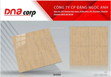 60*60 QH6009 Gạch lát nền Pancera (T=5V=1.8M) 