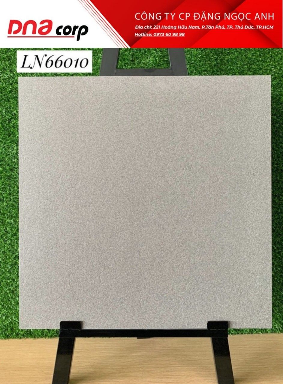  Gạch KIS LN66010 