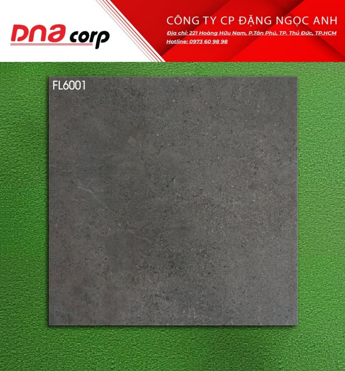  Gạch Viglacera FL6001 