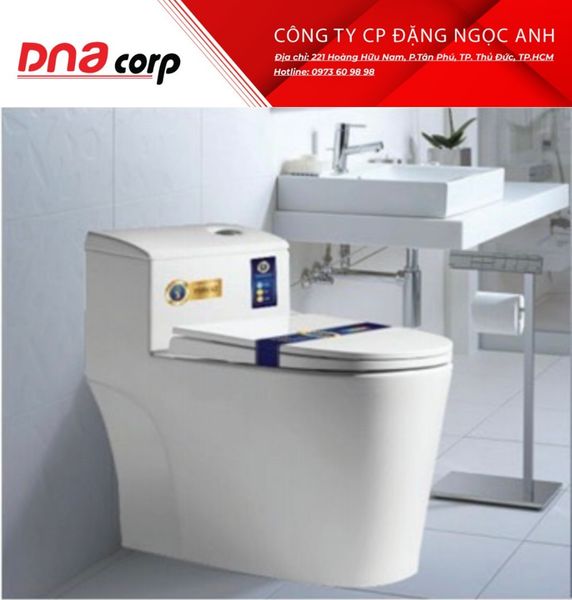  Cầu nút lêch T08 