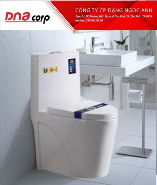  Cầu T01 