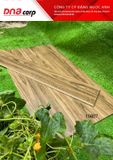  Gạch vân gỗ 15*80 15807 